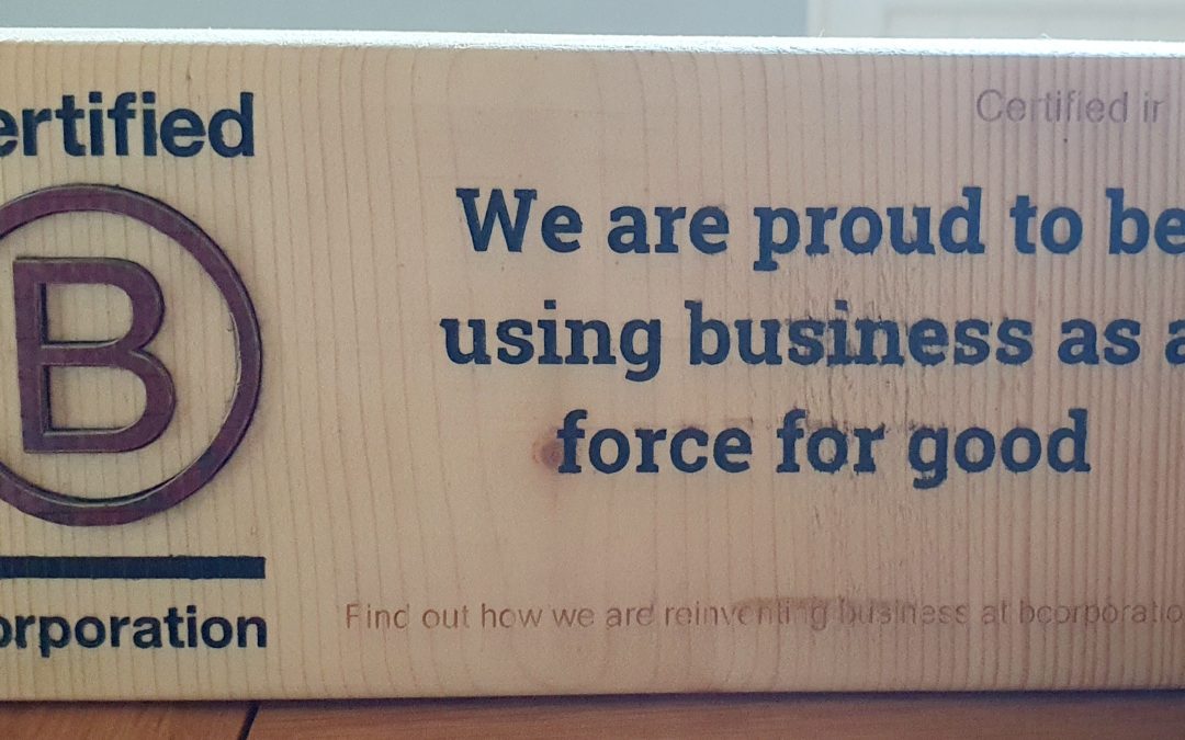 New B Corp Standards Guide